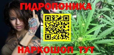 гашик Тулун