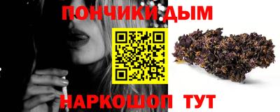 гашик Тулун
