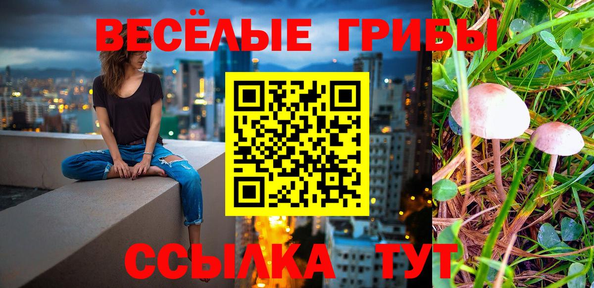 Галлюциногенные грибы Psilocybine cubensis Альметьевск