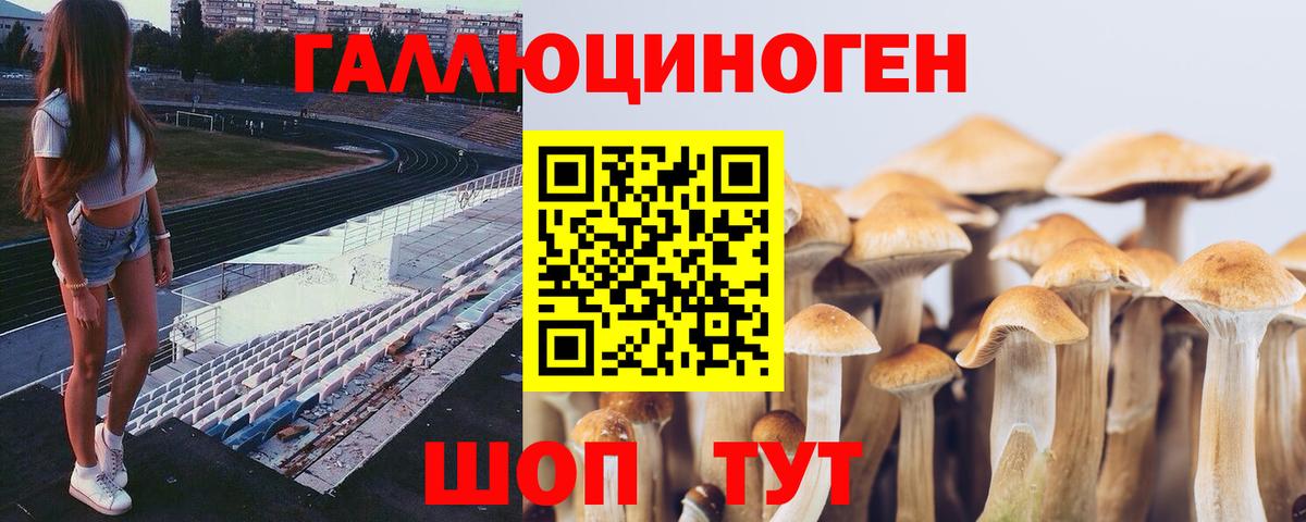 Альметьевск  Галлюциногенные грибы Psilocybine cubensis  Вход с VPN 